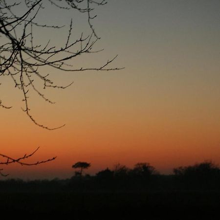 Gite Le Coucher De Soleil Plessé 外观 照片